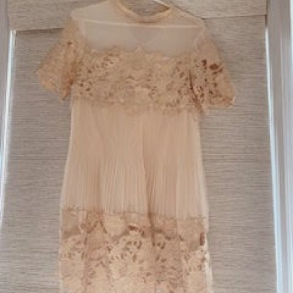 Saylor X FP Light Rose Dress